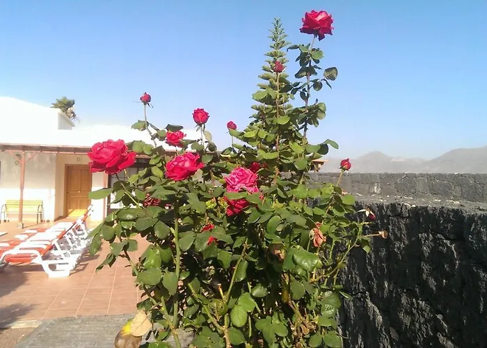 Celeste Πλάγια Μπλάνκα